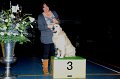 veteraan zondag_3